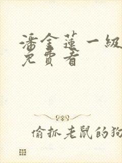 潘金莲一级淫片免费看