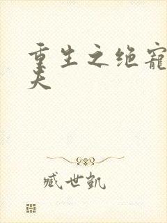 重生之绝宠小娇夫