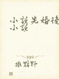 小说先婚后爱的小说