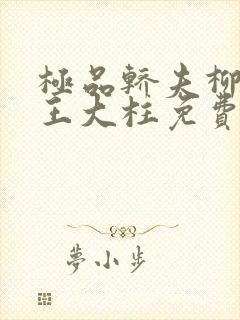 极品轿夫柳如烟王大柱免费阅读