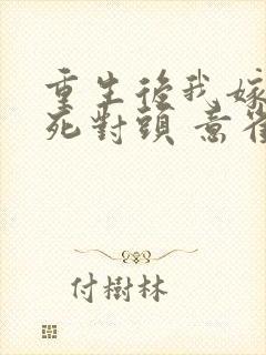 重生后我嫁给了死对头 意雀封面