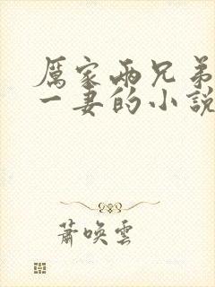 厉家两兄弟共娶一妻的小说