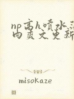 np高h喷水荡肉爽文更新时间