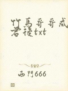 竹马哥哥成为夫君后txt封面