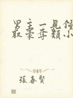 男主一见钟情强取豪夺类小说封面