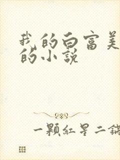 我的白富美老婆的小说