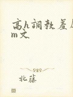 高h调教羞辱sm文