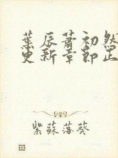 叶辰萧初然最新更新章节正版阅读封面