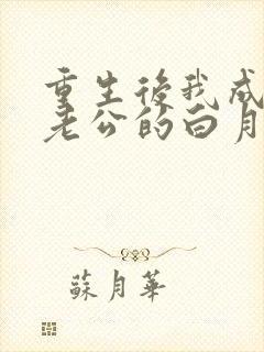 重生后我成了渣老公的白月光