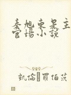 秦旭东是主角的官场小说