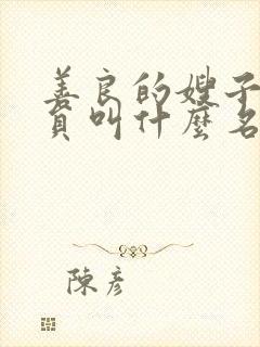 善良的嫂子女演员叫什么名字韩国