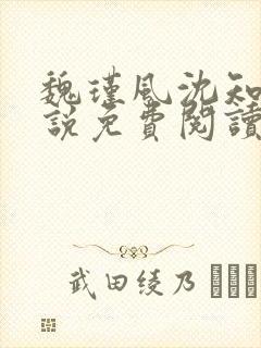 魏瑾风沈知玉小说免费阅读最新章节