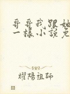 哥哥我跟她们不一样小说免费阅读