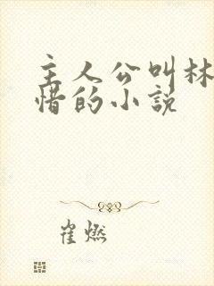 主人公叫林凡叶惜的小说