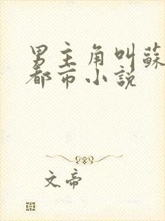 男主角叫苏凡的都市小说