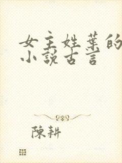 女主姓叶的穿越小说古言封面