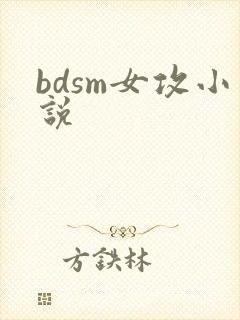 bdsm女攻小说