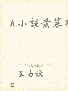 h小说黄蓉后传