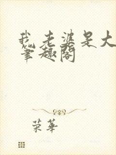 我老婆是大明星笔趣阁