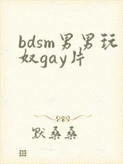 bdsm男男玩奴gay片封面