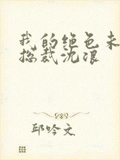 我的绝色未婚妻总裁沈浪