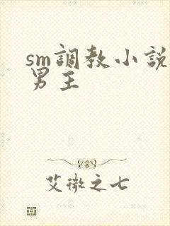 sm调教小说双男主