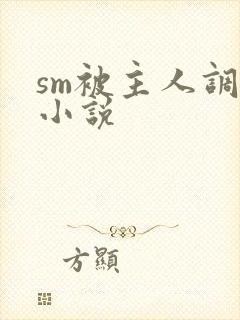 sm被主人调教小说