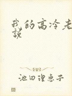 我的高冷老婆小说封面