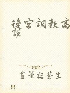后宫调教高h小说
