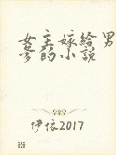 女主嫁给男主他爹的小说