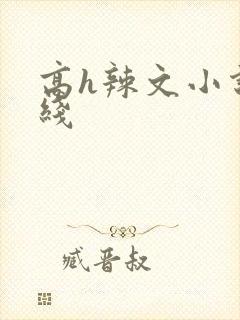 高h辣文小说在线