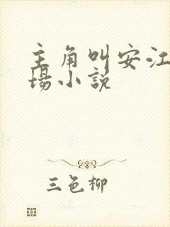 主角叫安江的官场小说