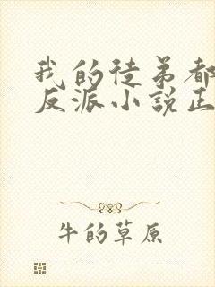 我的徒弟都是大反派小说正版