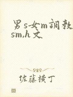 男s女m调教(sm,h文