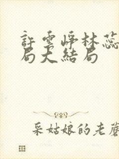 许云峥林蕊思结局大结局