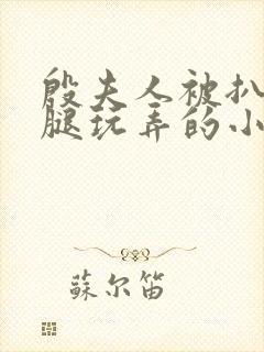 殷夫人被扒开双腿玩弄的小说封面