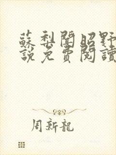 苏梨闻昭野的小说免费阅读全文