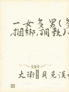 一女多男(多p,捆绑,调教)小说