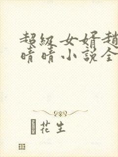 超级女婿赵旭李晴晴小说全文免费阅读无弹窗