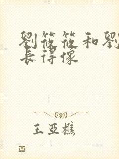 刘筱筱和刘亦菲长得像封面