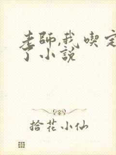 老师,我吃定你了小说