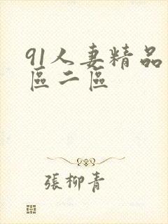 91人妻精品一区二区