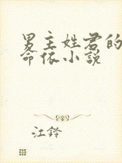 男主姓君的家族命依小说