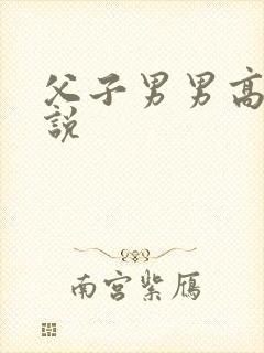 父子男男高h小说
