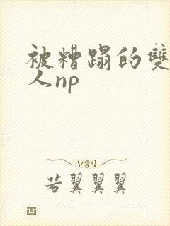 被糟蹋的双性美人np封面