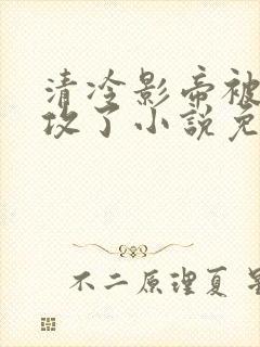 清冷影帝被老丑攻了小说免费阅读