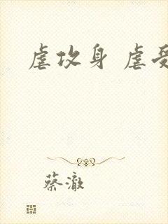 虐攻身 虐受心封面