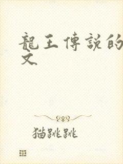 龙王传说的同人文封面
