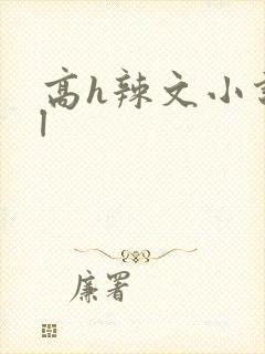 高h辣文小说bl封面