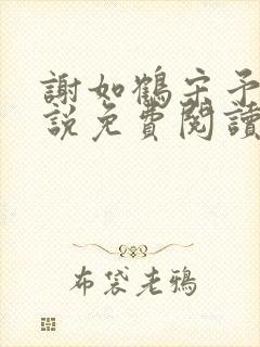 谢如鹤宋予朵小说免费阅读最新章节